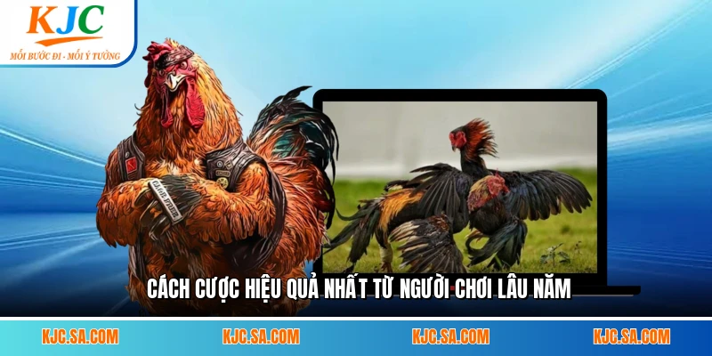 Cách cược hiệu quả nhất từ người chơi lâu năm