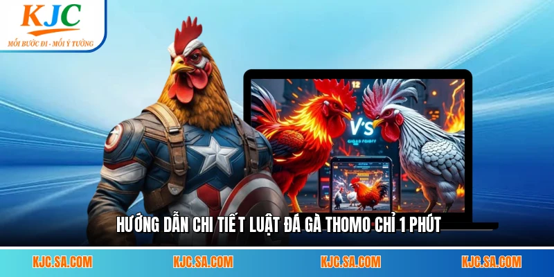 Hướng dẫn chi tiết luật đá gà Thomo chỉ 1 phút