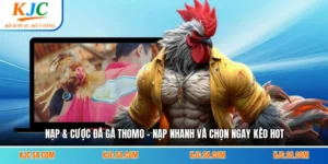 Nạp & Cược Đá Gà Thomo - Nạp Nhanh Và Chọn Ngay Kèo Hot