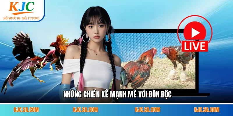 Những chiến kê mạnh mẽ với đòn độc