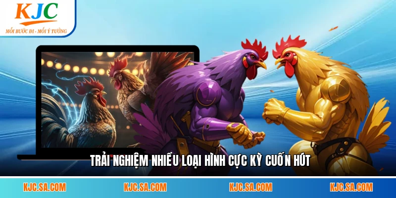 Trải nghiệm nhiều loại hình cực kỳ cuốn hút